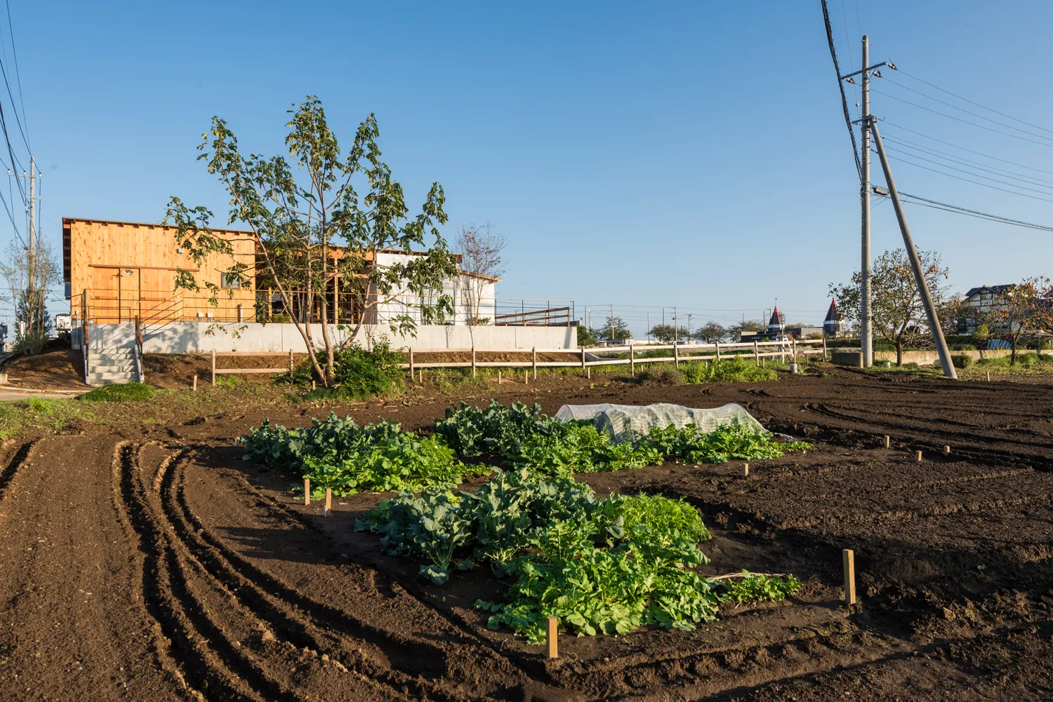 畑のGOCHISO