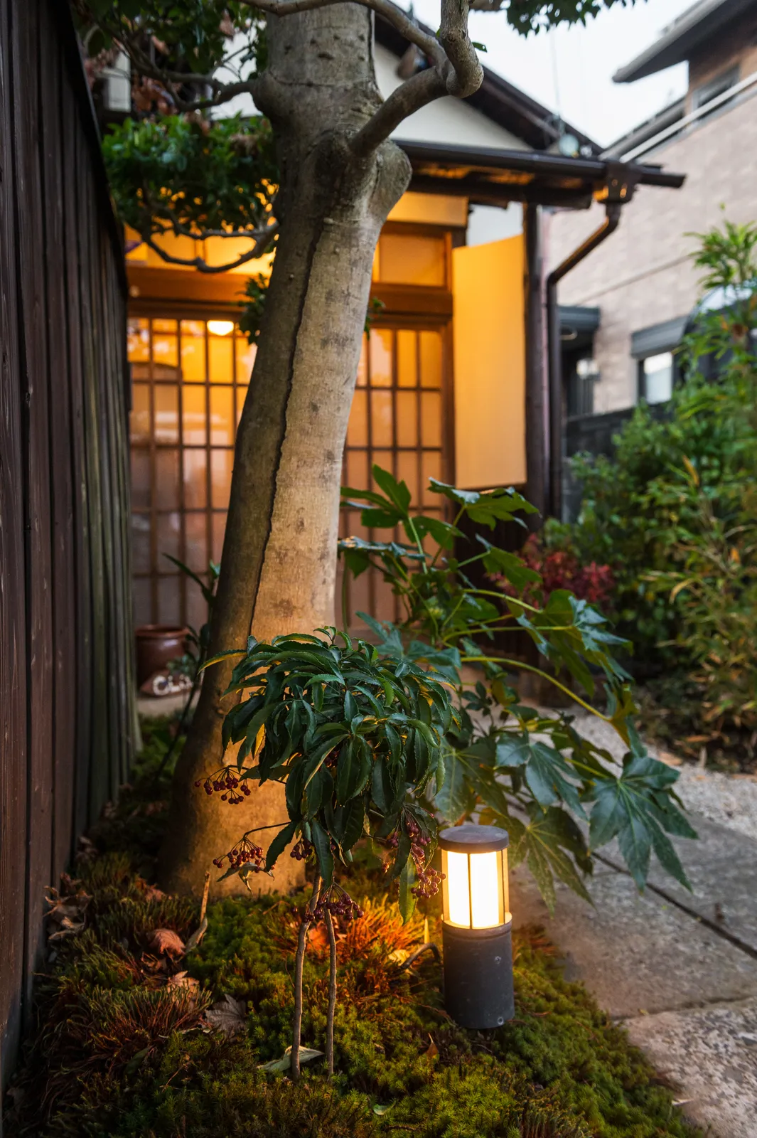 Norah's café（ノラズカフェ）